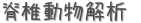脊椎動物解析 (占い)